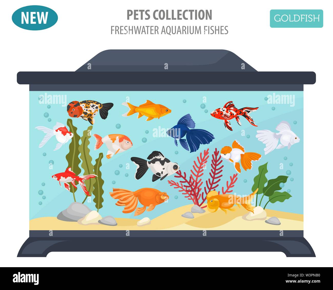 Les poissons d'aquarium d'eau douce se reproduit icon set style plat isolé sur blanc. Poissons rouges. Créer propre infographie sur les animaux de compagnie. Vector illustration Illustration de Vecteur