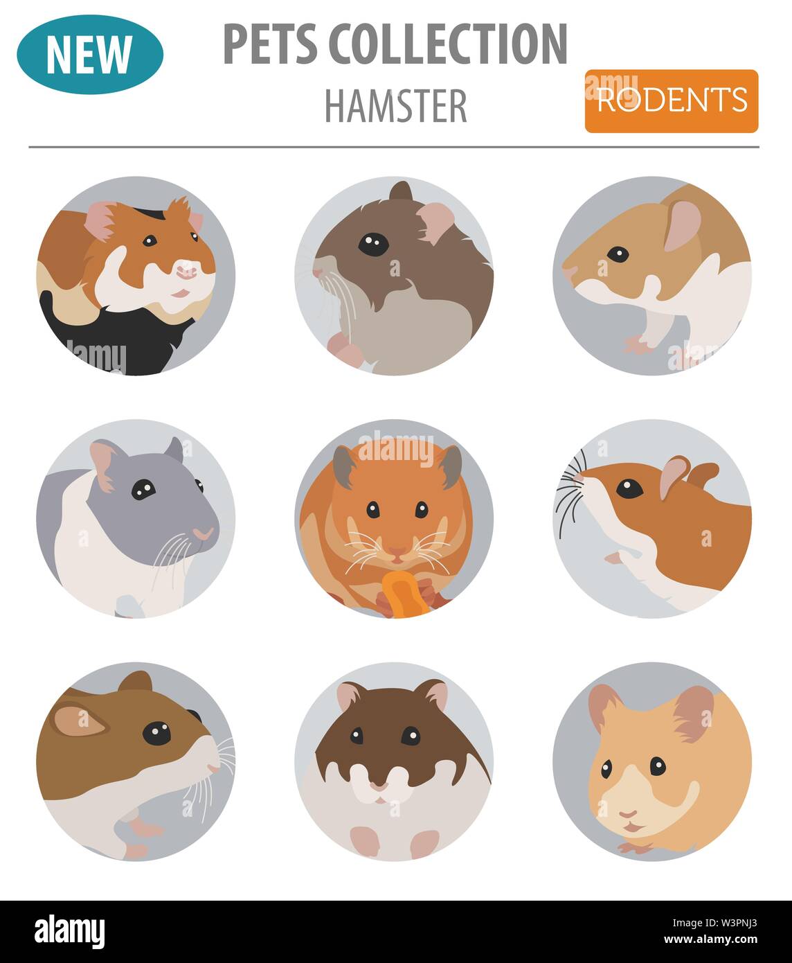 Races de hamster icon set style plat isolé sur blanc. Rongeurs animaux de collection. Créer propre infographie sur les animaux de compagnie. Vector illustration Illustration de Vecteur