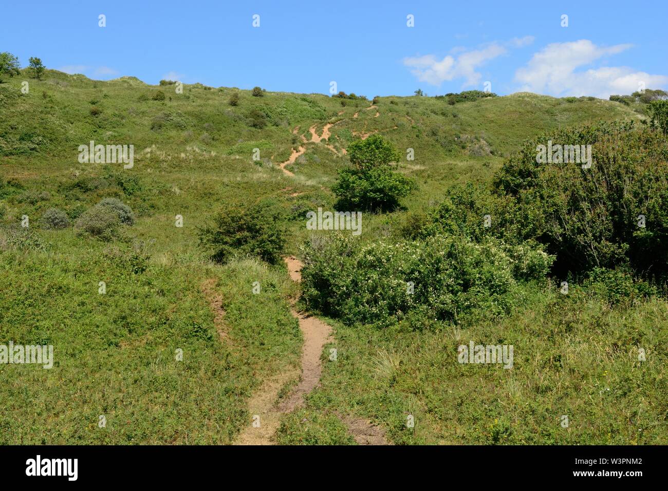 Sentier à travers les dunes de sable de Merthyr Mawr les plus hautes dunes en Grande-Bretagne Bridgend Cymru UK Banque D'Images