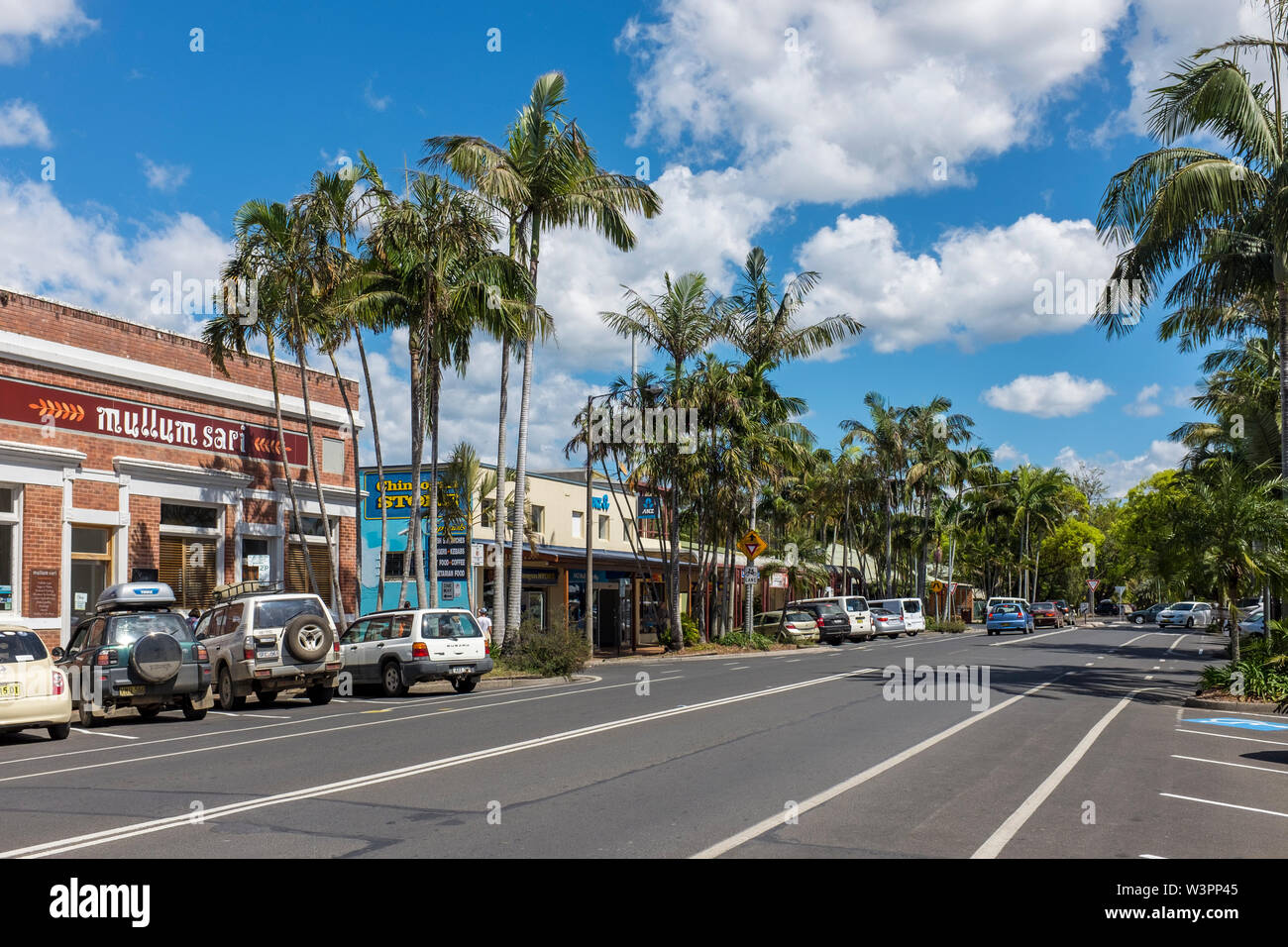 Palmiers sur Burringbar Street, la rue principale de Mullumbimby, New South Wales, Australie Banque D'Images