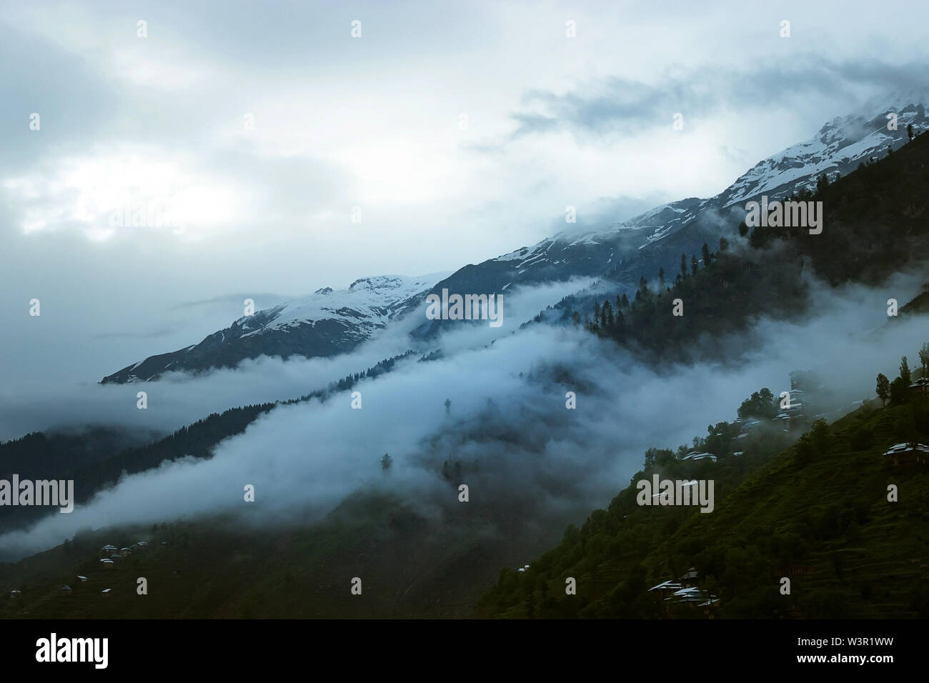 Paysage Misty avec forêt de revêtement de brouillard sur la montagne dans le style rétro sombre vintage Banque D'Images
