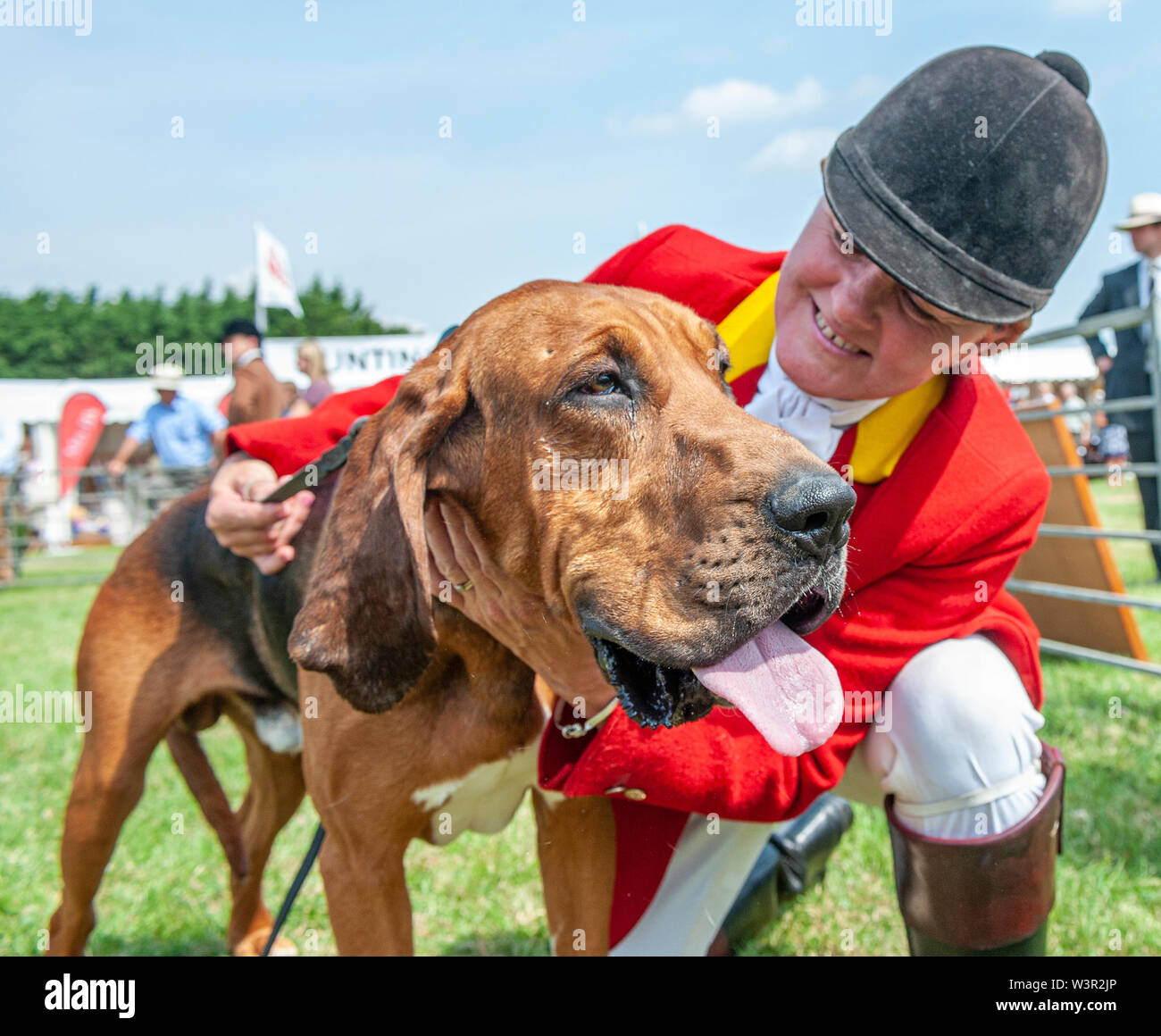 Fête de la chasse, de Peterborough, Royaume-Uni. 17 juillet 2019. Le Festival annuel de la chasse est un événement d'un jour offrant le plus grand rassemblement de chiens dans le pays. Les busards, Beagles, Basset Hounds, Draghounds et chiens seront en compétition avec affiche de fell hounds, conductrices de chiens, et le populaire Sealey Terriers. Crédit : Matt Limb OBE/Alamy Live News Banque D'Images