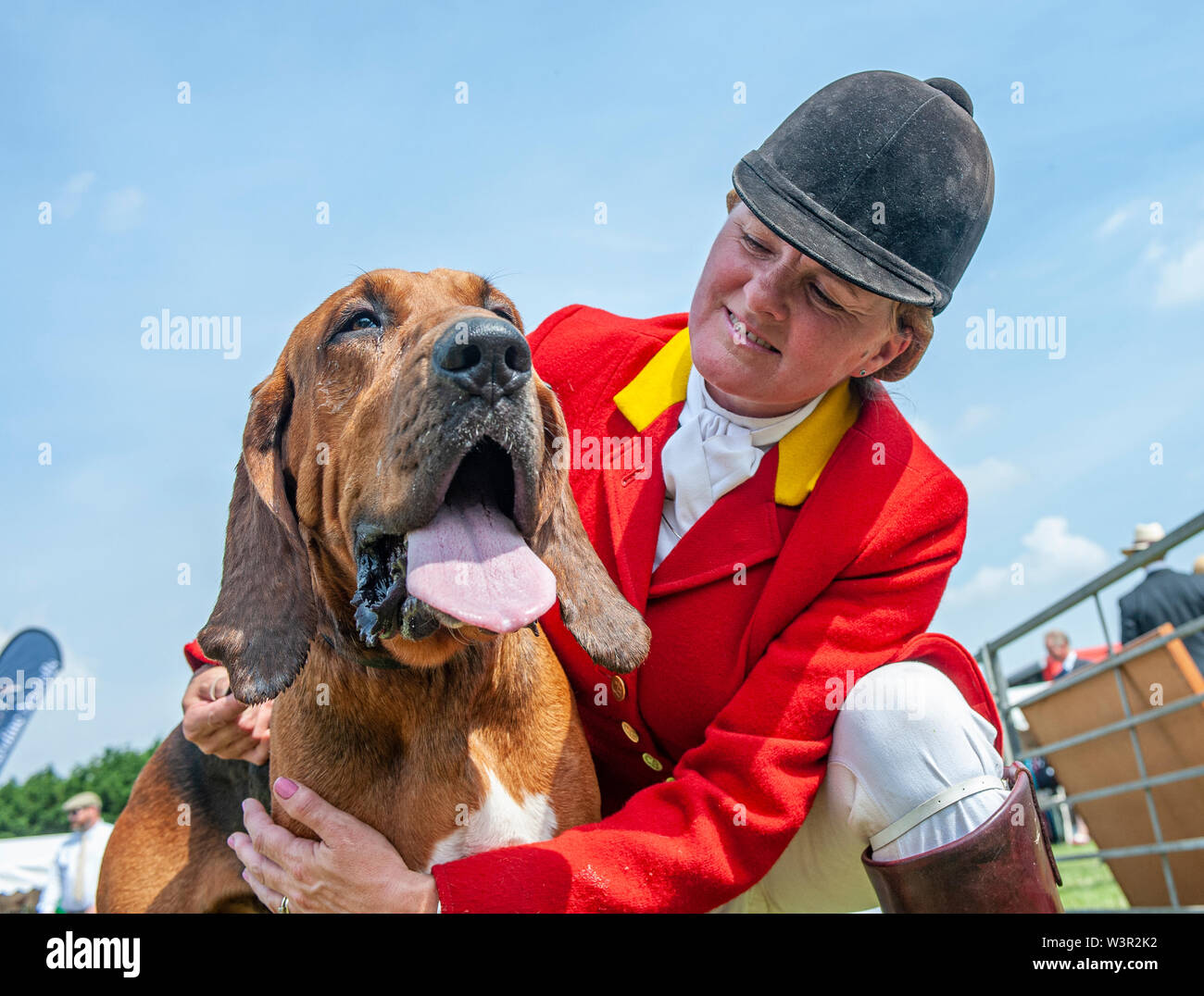 Fête de la chasse, de Peterborough, Royaume-Uni. 17 juillet 2019. Le Festival annuel de la chasse est un événement d'un jour offrant le plus grand rassemblement de chiens dans le pays. Les busards, Beagles, Basset Hounds, Draghounds et chiens seront en compétition avec affiche de fell hounds, conductrices de chiens, et le populaire Sealey Terriers. Crédit : Matt Limb OBE/Alamy Live News Banque D'Images