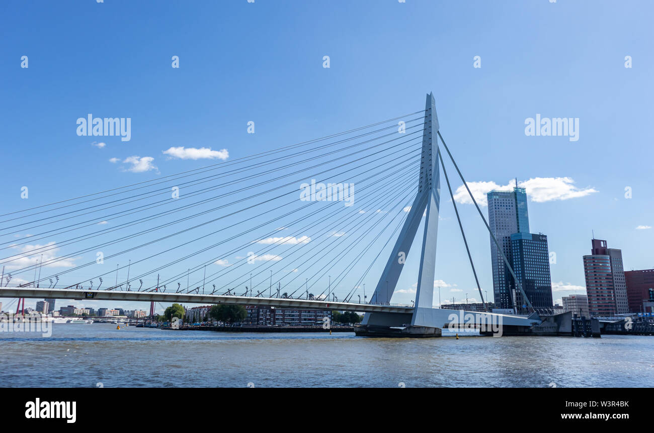 Rotterdam, Pays-Bas. Juillet 2nd, 2019. Paysage urbain et le pont Erasmus, journée ensoleillée. Les bâtiments à front de Meuse Banque D'Images