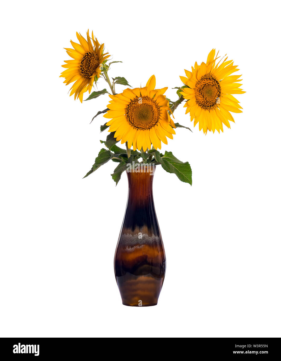 Fleurs de tournesol dans un vase en porcelaine ancienne isolé sur fond  blanc Photo Stock - Alamy
