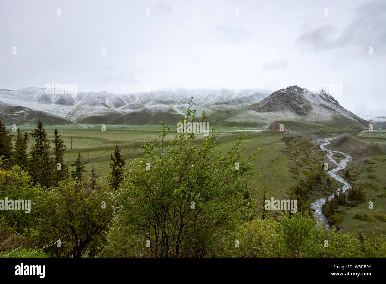 Les lits de rivière qui coule à travers une vallée verte avec les montagnes couvertes de neige à l'horizon. Billet au Kirghizistan. Banque D'Images