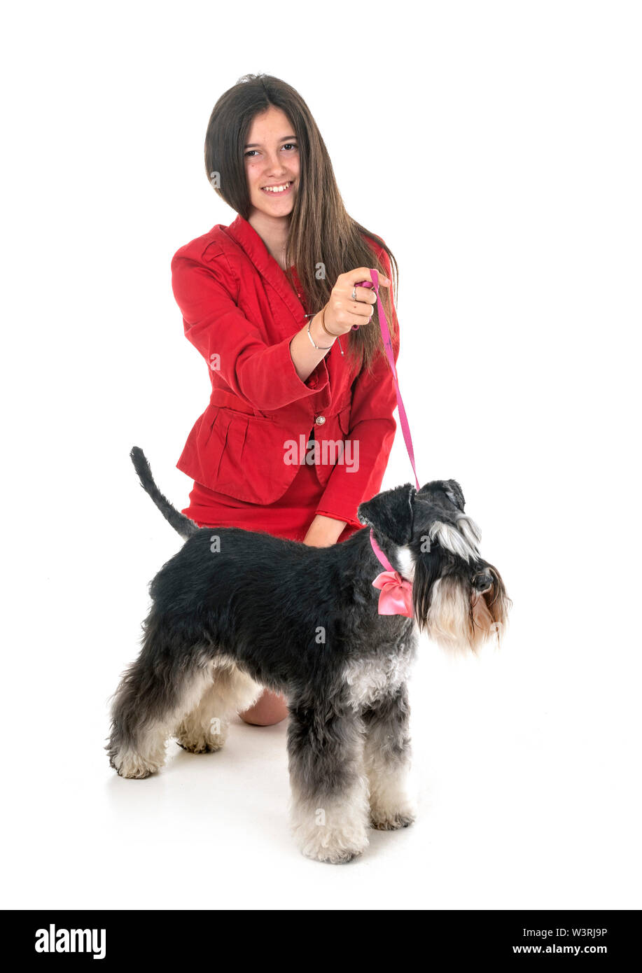 Schnauzer nain et woman in front of white background Banque D'Images