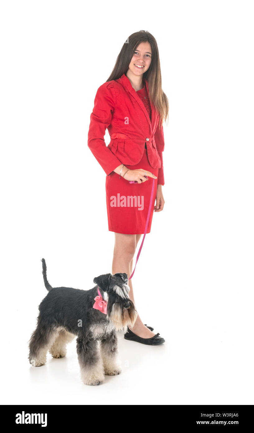 Schnauzer nain et woman in front of white background Banque D'Images