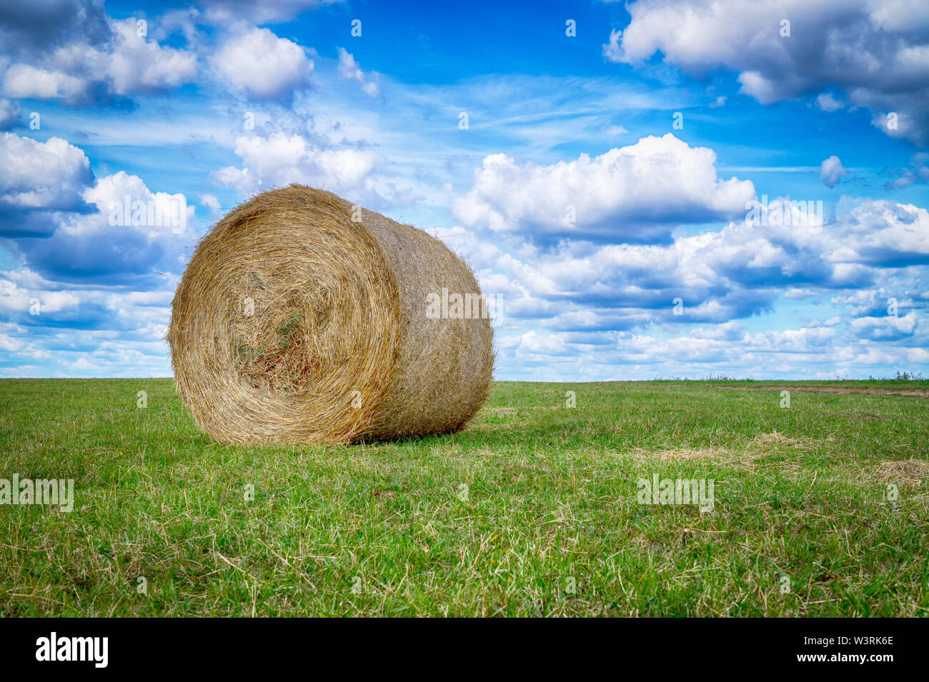 Circulaire fraîchement récolté balles de foin dans un champ ou le pâturage en été dans un angle faible vue sous un ciel nuageux ciel bleu d'un paysage agricole Banque D'Images