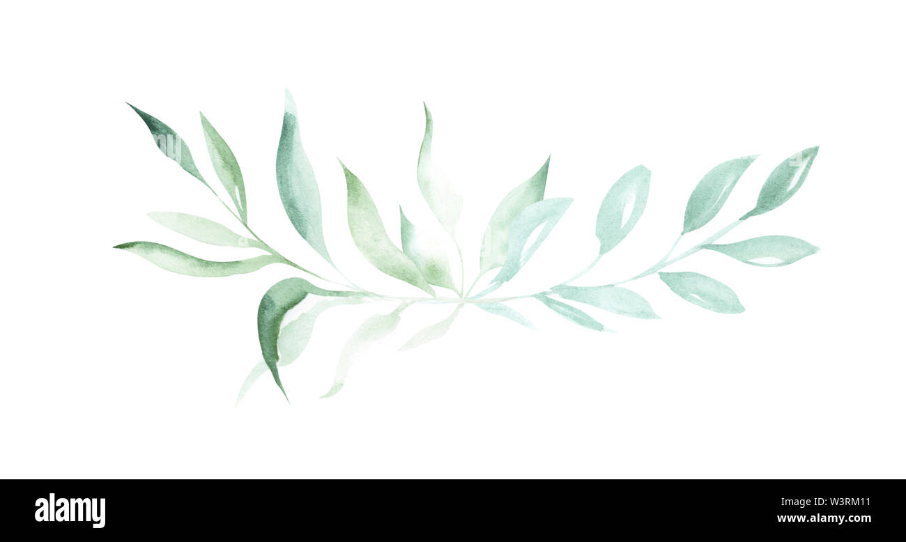 Illustration de l'aquarelle dessin les éléments de décoration de plantes vertes et de feuilles dans la forme d'images sur un fond blanc. Banque D'Images