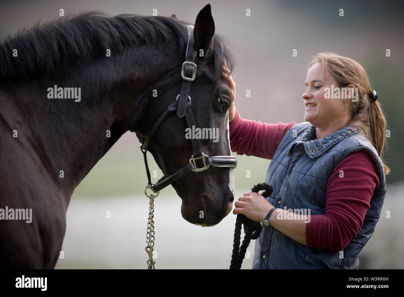 Jeune femme caressant son cheval noir sur le nez. Banque D'Images