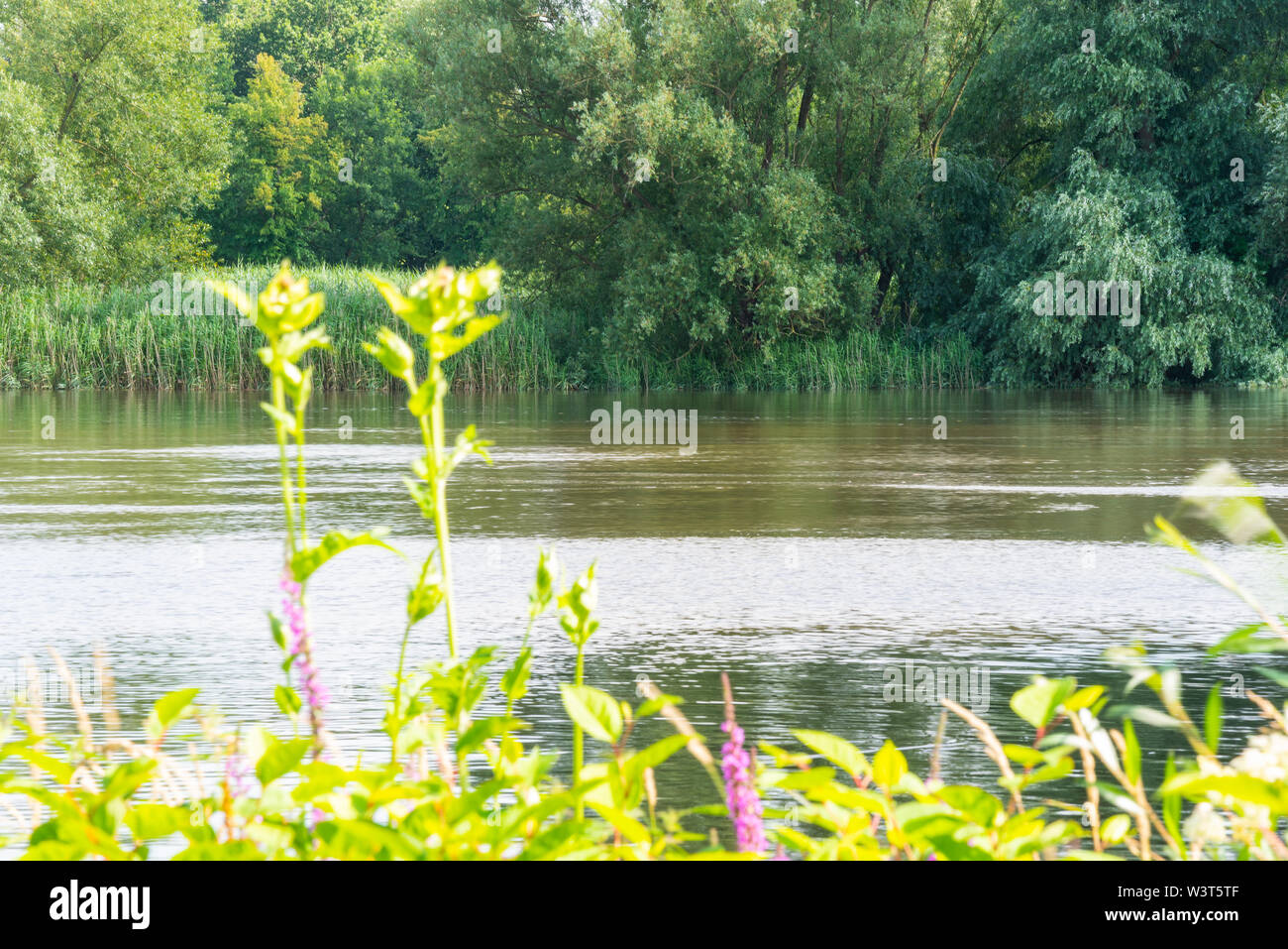 On peut oublier ses soucis dans une banque de Atkinson Park Banque D'Images