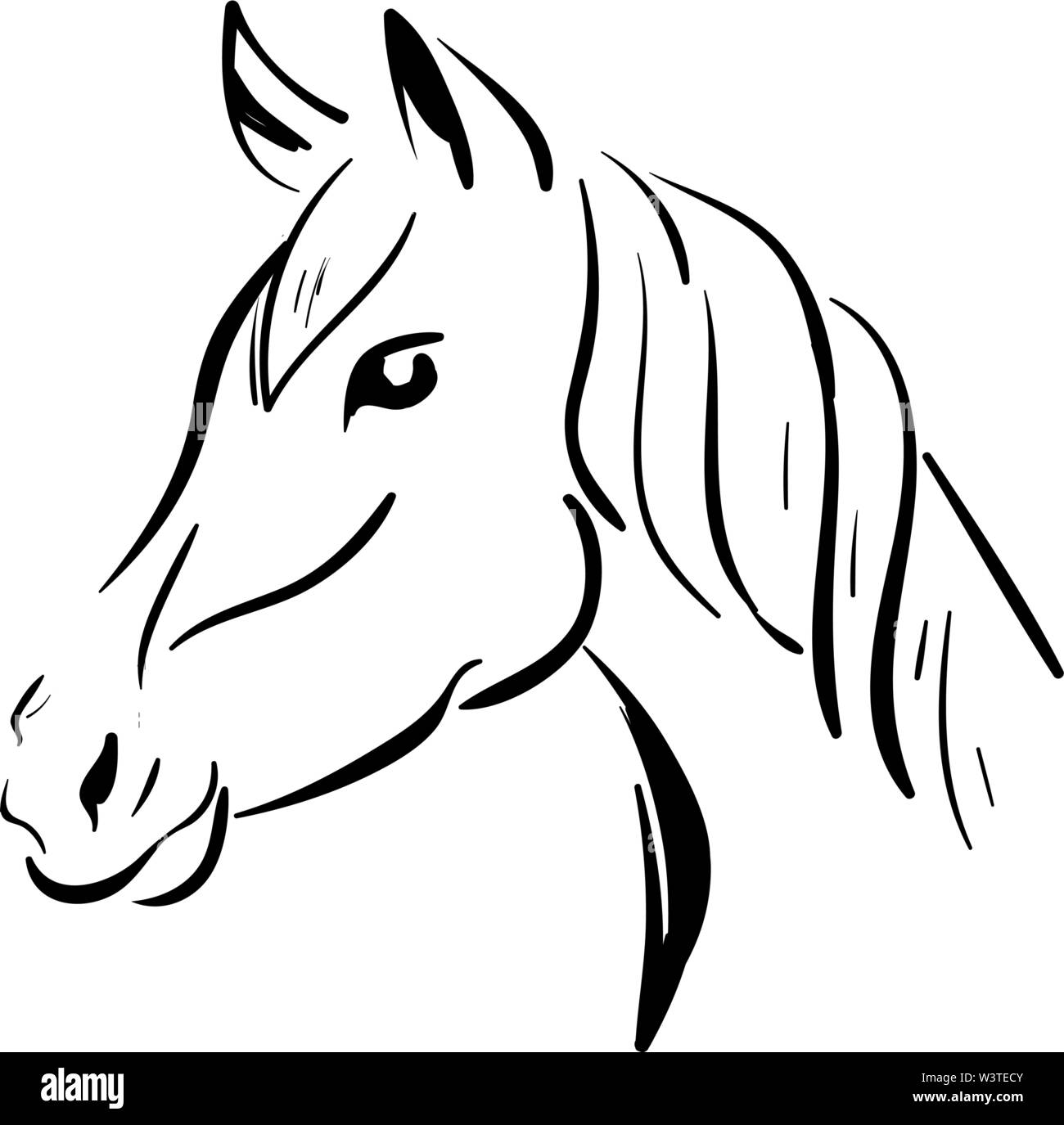 Un cheval noir, scénario, croquis dessin en couleur ou d'illustration. Illustration de Vecteur