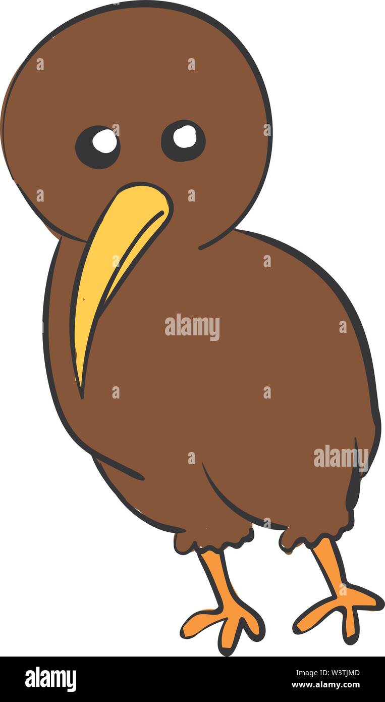 Kiwi brun mignon vecteur, illustration, sur fond blanc. Illustration de Vecteur Kiwi brun mignon vecteur, illustration, sur fond blanc. Illustration de Vecteur