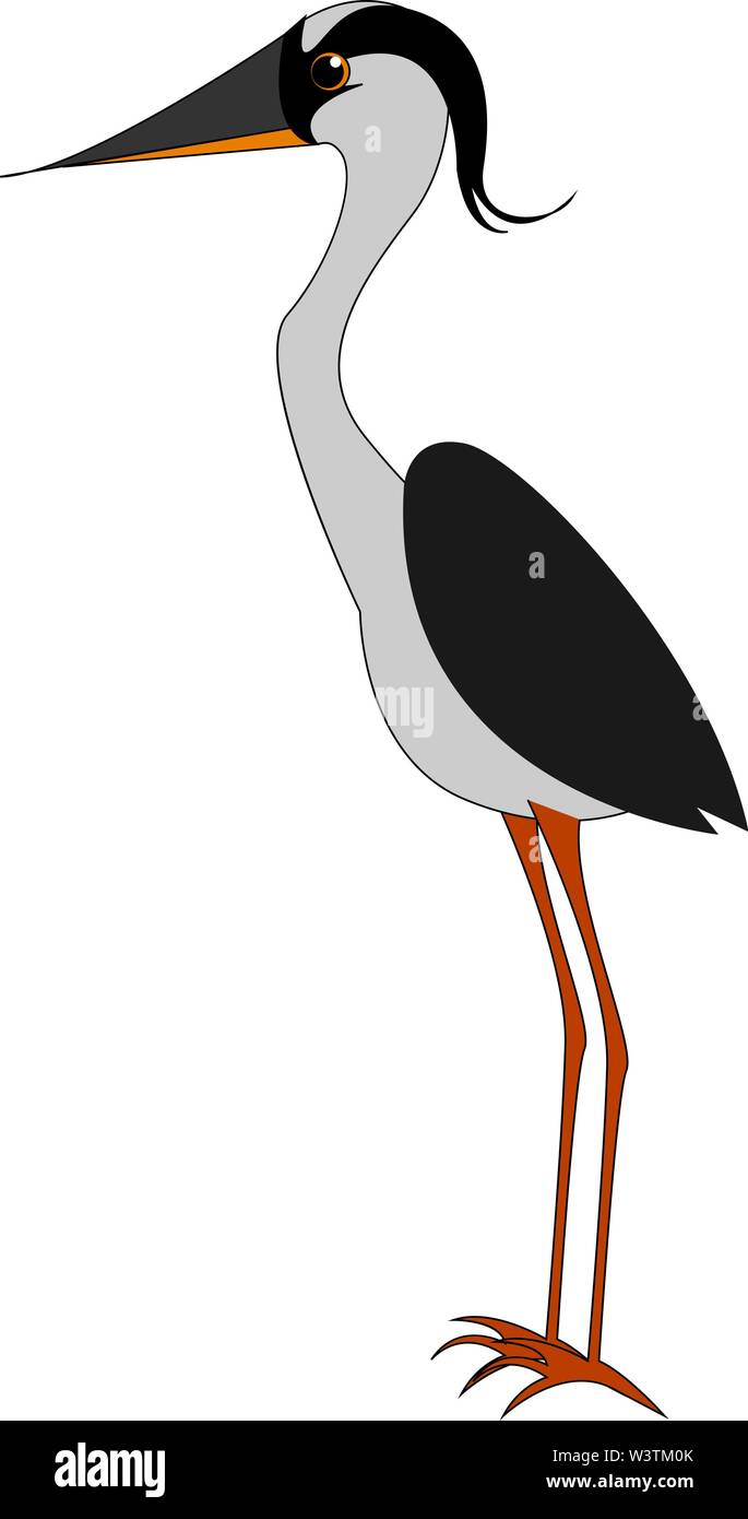 Oiseau gris avec de longues jambes, illustration, vecteur sur fond blanc. Illustration de Vecteur