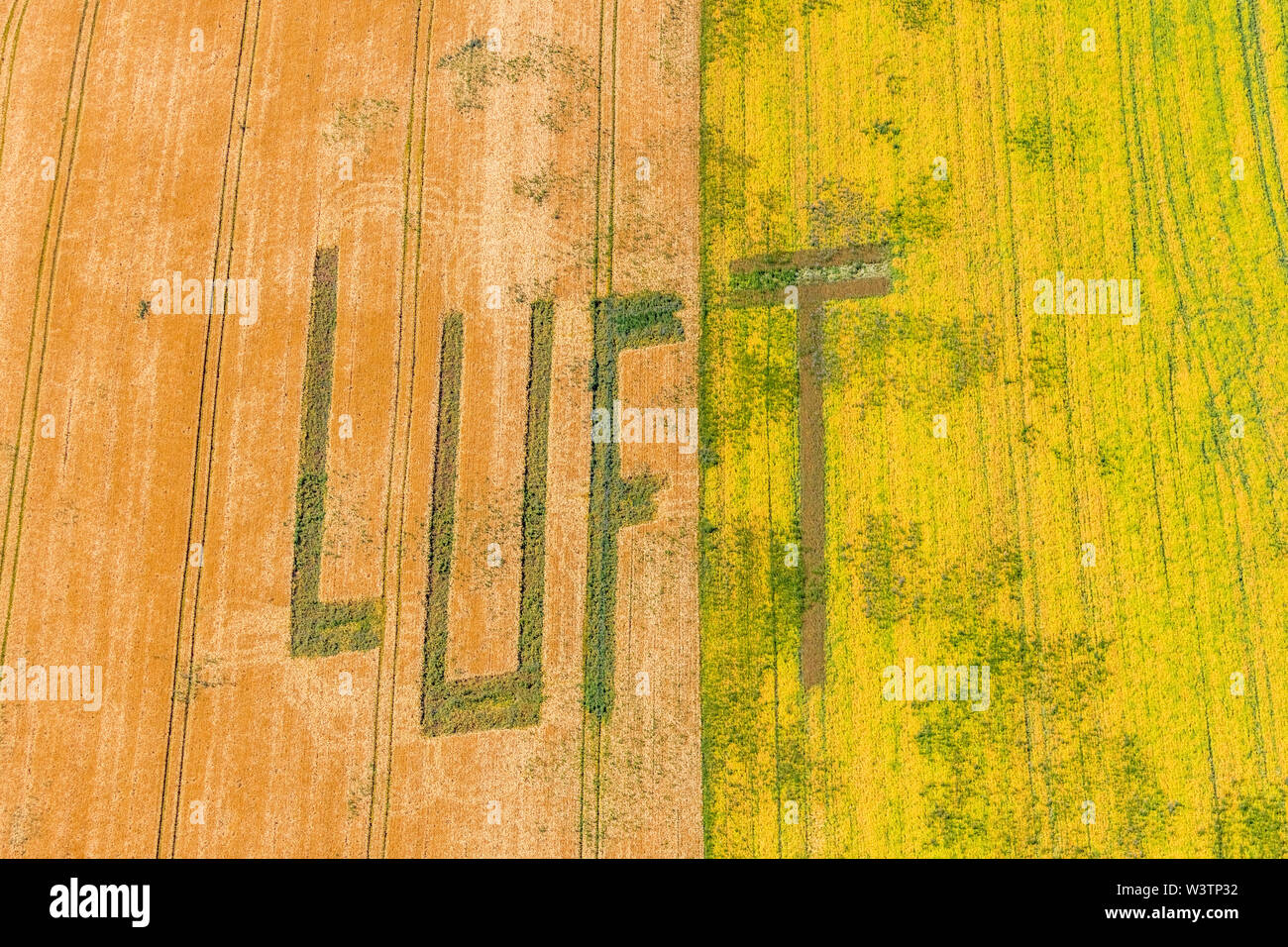 Photo aérienne d'une inscription l'air sur le champ de blé à Mechtenberg sur la ville frontière de Essen et de Gelsenkirchen à Gelsenkirchen dans la Ruhr dans Banque D'Images
