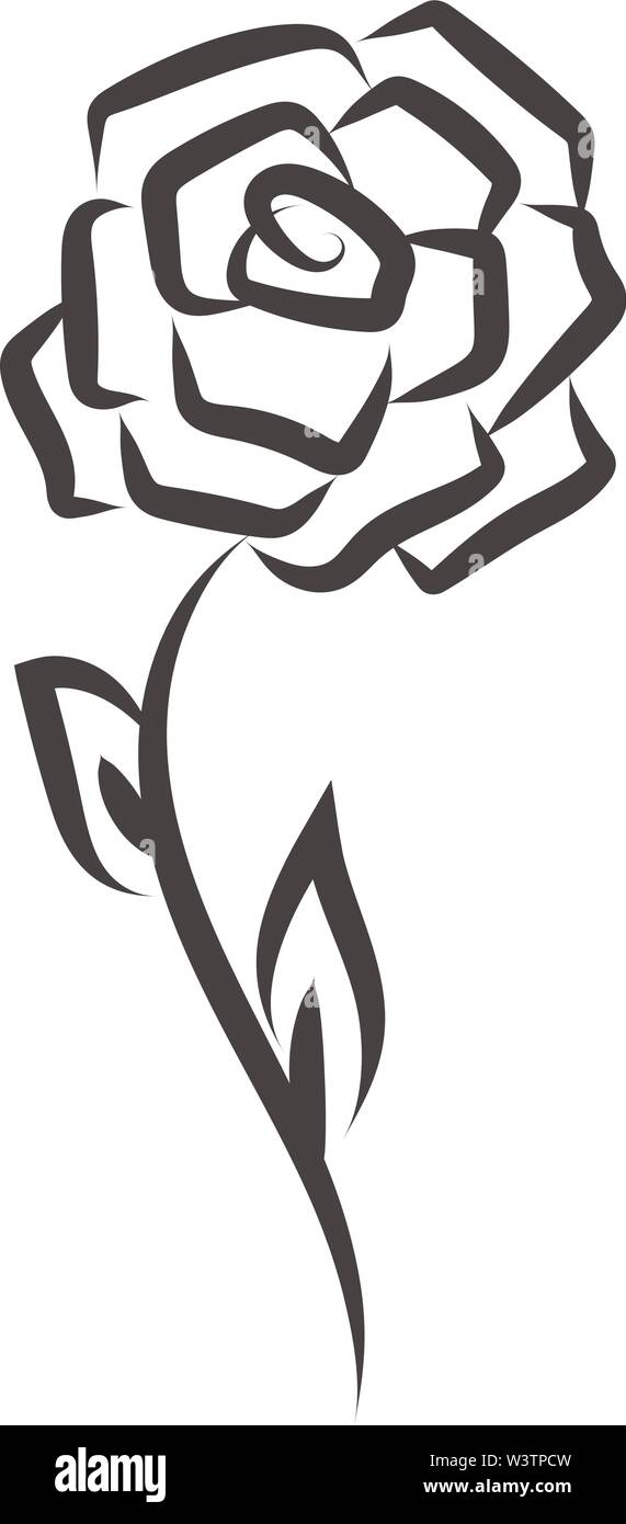 Rose Tattoo, illustration, vecteur sur fond blanc. Illustration de Vecteur