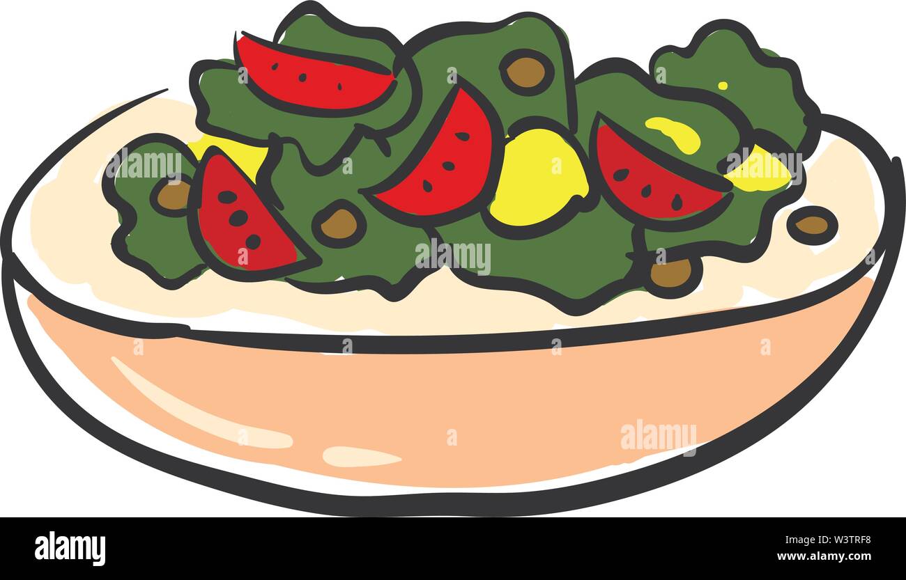 Salade saine d'été, illustration, vecteur sur fond blanc. Illustration de Vecteur