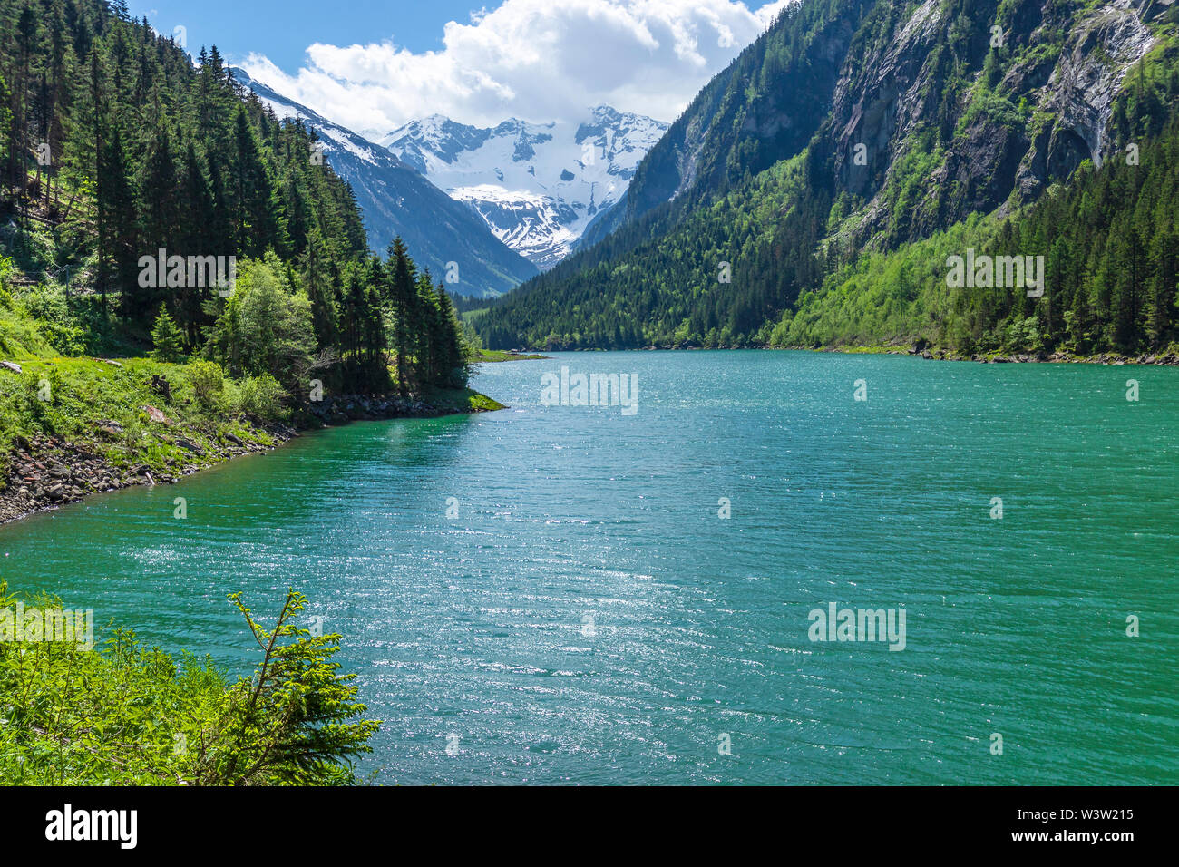 Lac de montagne. Forêt de montagne paysage lac, Alpes, Autriche Banque D'Images