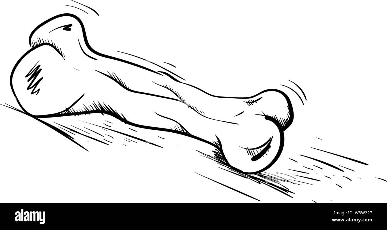 Big bone dessin, illustration, vecteur sur fond blanc Illustration de Vecteur