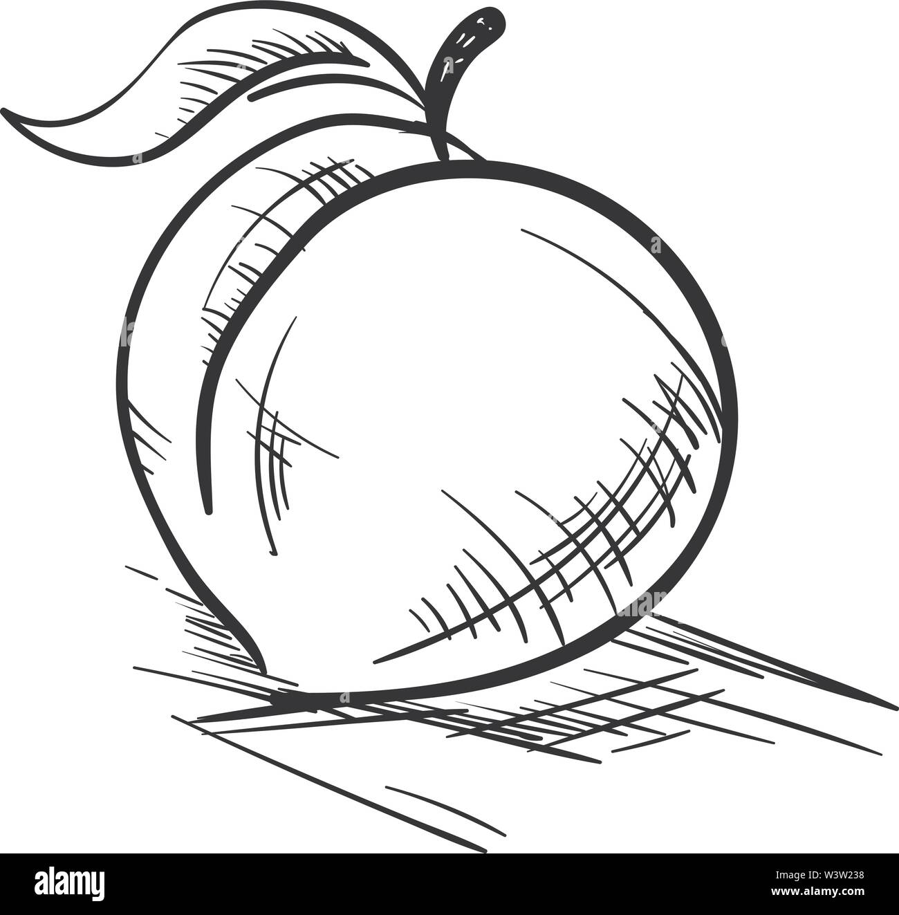 Peach dessin, illustration, vecteur sur fond blanc Illustration de Vecteur