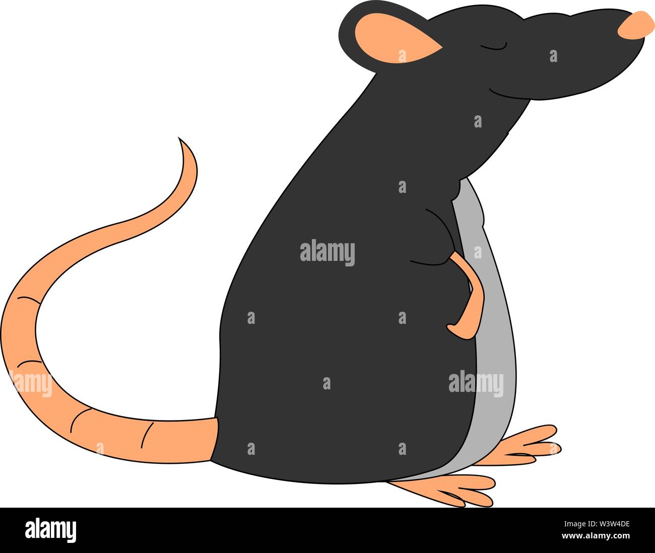 Fat rat noir, illustration, vecteur sur fond blanc. Illustration de Vecteur