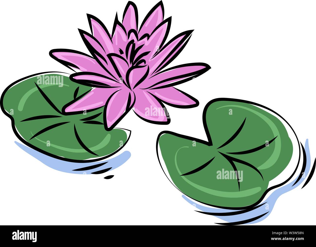 Fleur de lotus pourpre, illustration, vecteur sur fond blanc. Illustration de Vecteur