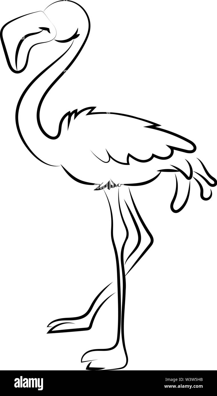 Flamingo dessin, illustration, vecteur sur fond blanc. Illustration de Vecteur