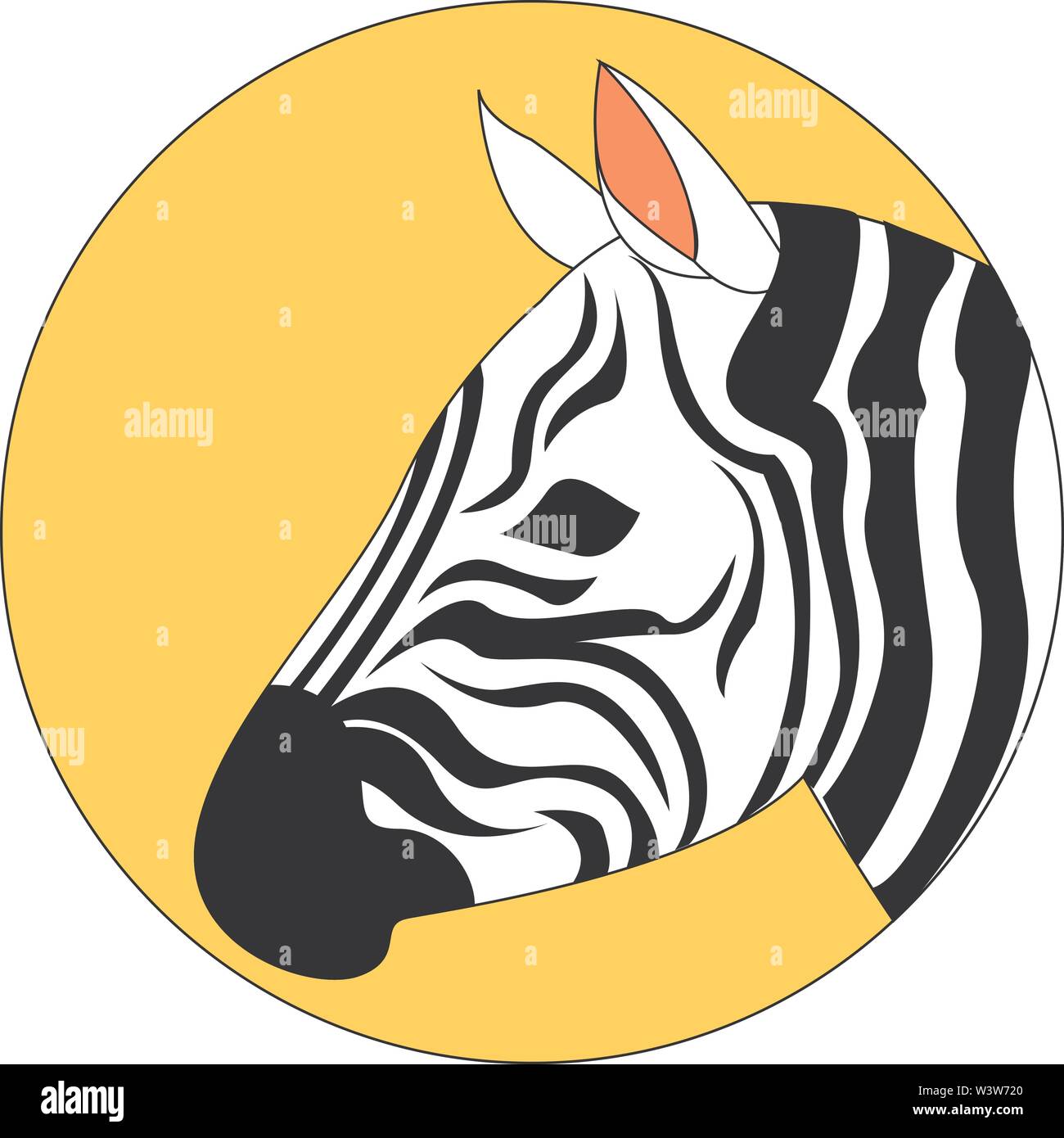 Belle illustration, zebra, vecteur sur fond blanc. Illustration de Vecteur