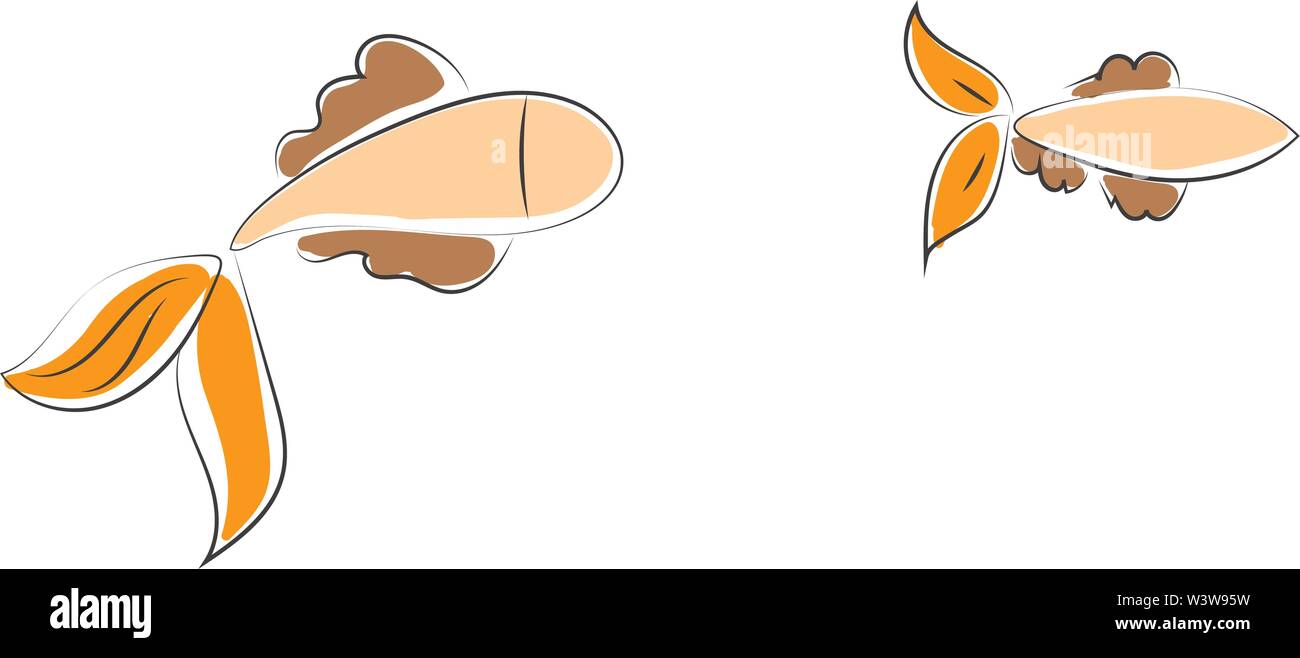Deux poissons, illustration, vecteur sur fond blanc. Illustration de Vecteur