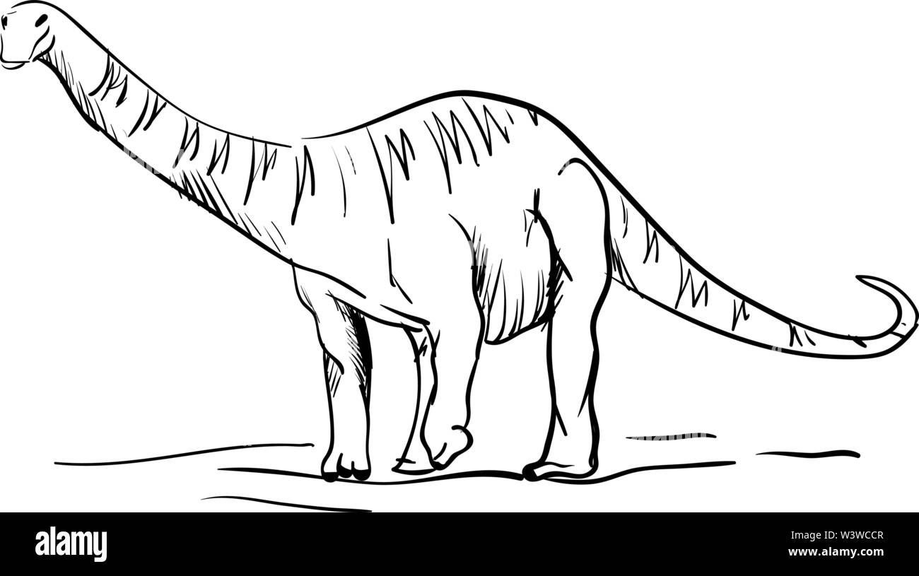 Dessin de dinosaure, illustration, vecteur sur fond blanc. Illustration de Vecteur