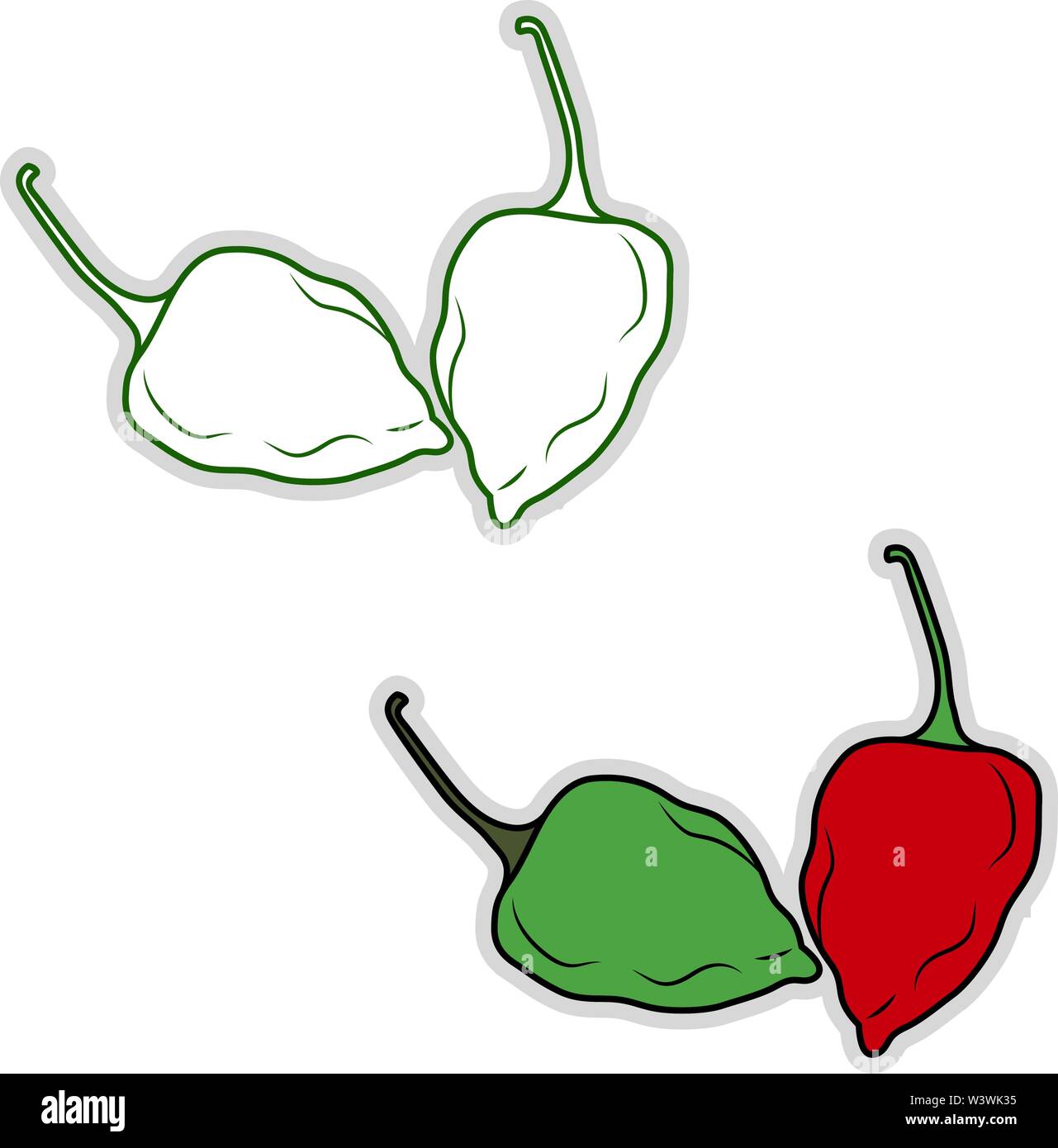 Le habanero frais, illustration, vecteur sur fond blanc. Illustration de Vecteur