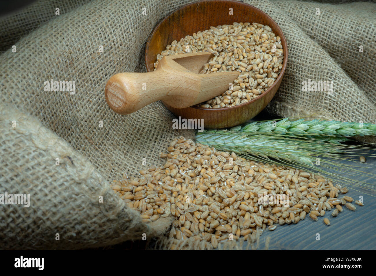 Les semences de blé de répandre à partir d'un bol en bois avec les oreilles ou vert et ripe blé d'or sur toile de jute dans une vue en gros des aliments de base et l'alimentation saine Banque D'Images