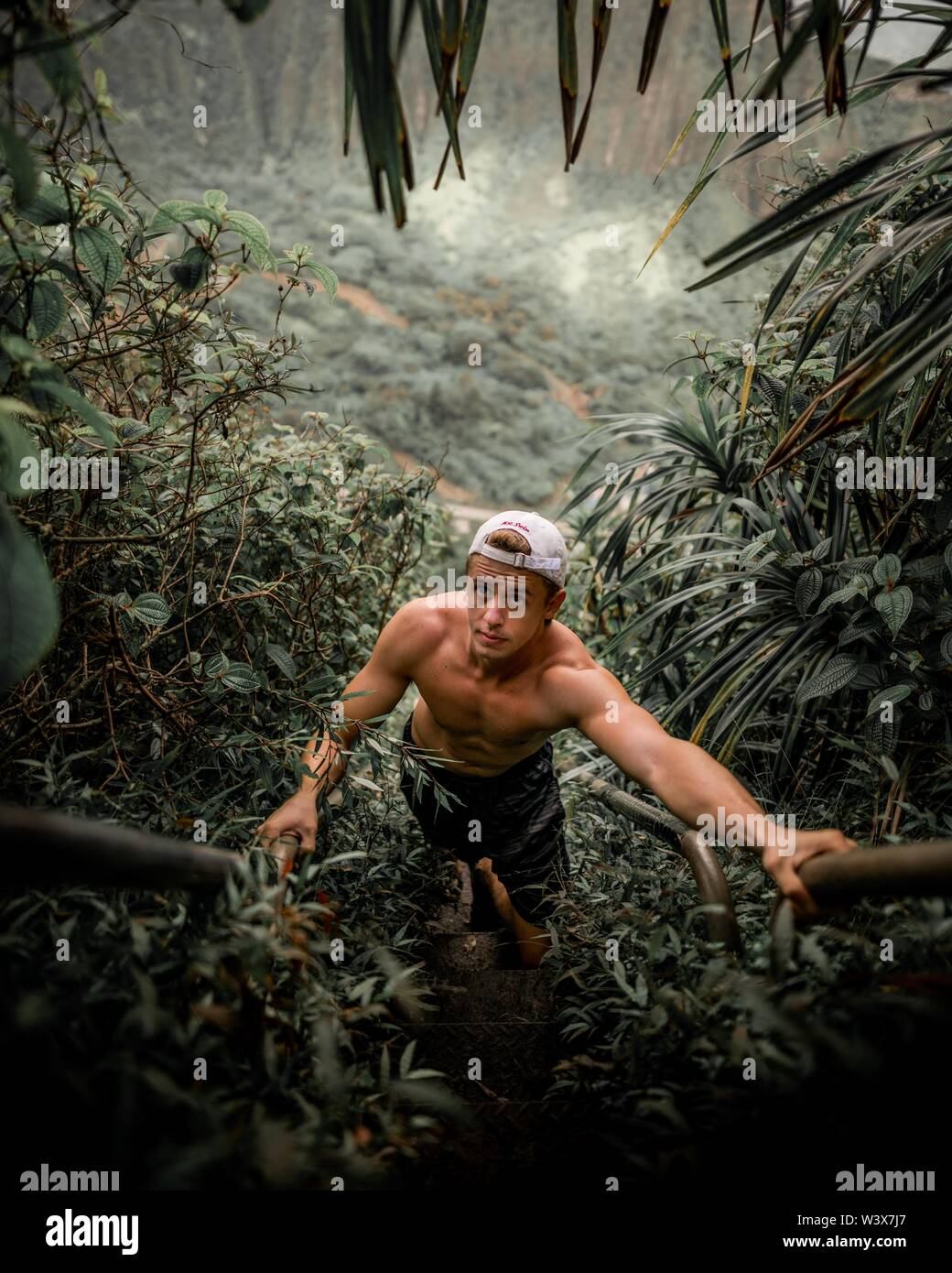 Faire monter un homme sur une colline escarpée dans une jungle tropicale entouré de verdure Banque D'Images