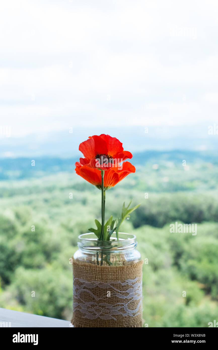 Corfou. Assis dans un restaurant près d'une fenêtre ouverte cette fleur était sur une corniche.un paysage magnifique a été la toile de fond d'où cette photo. Banque D'Images