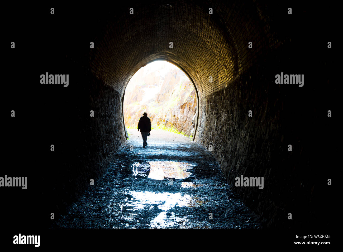 Voir Swan - Tunnel ouest de l'Australie Banque D'Images