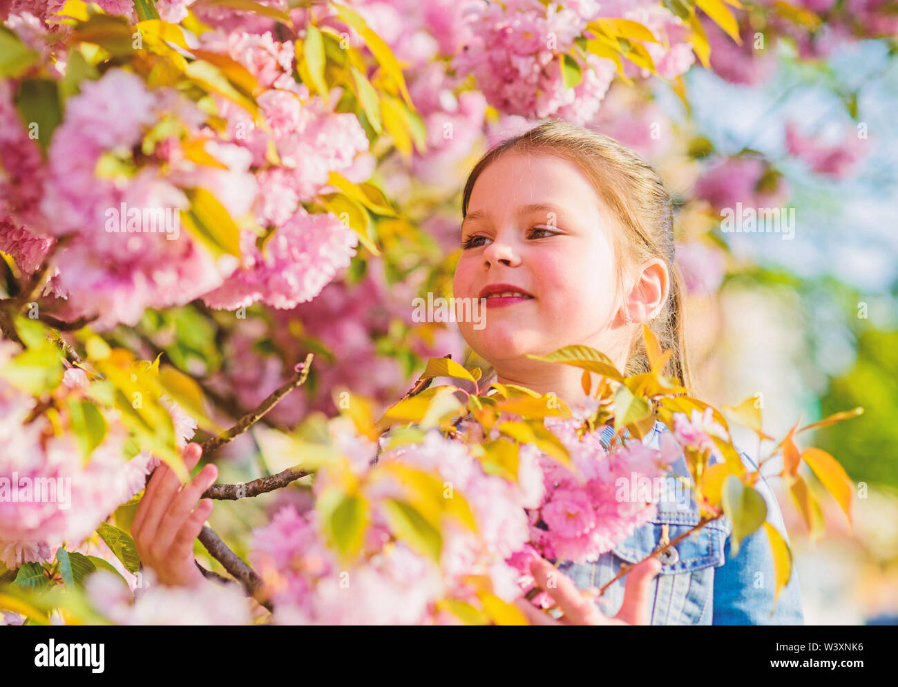 Happy Girl En Fleur De Cerisier Arbre Sakura En Fleurs