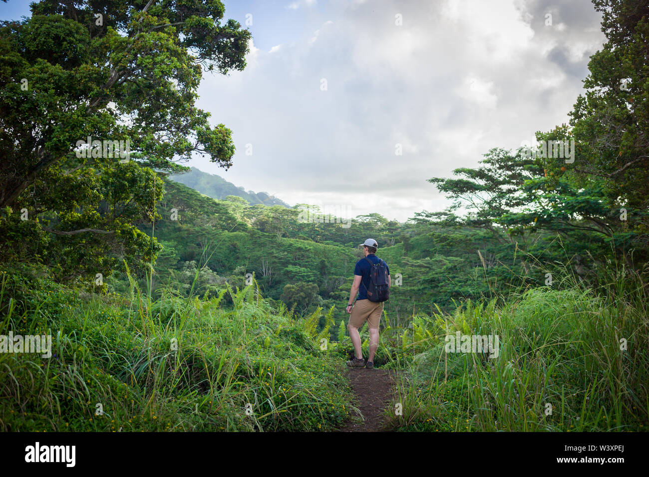 Le Kuilau Ridge Trail offre aux randonneurs l'accès aux forêts luxuriantes et de superbes vues sur les montagnes et le mont Waialeale Makaleha. Banque D'Images