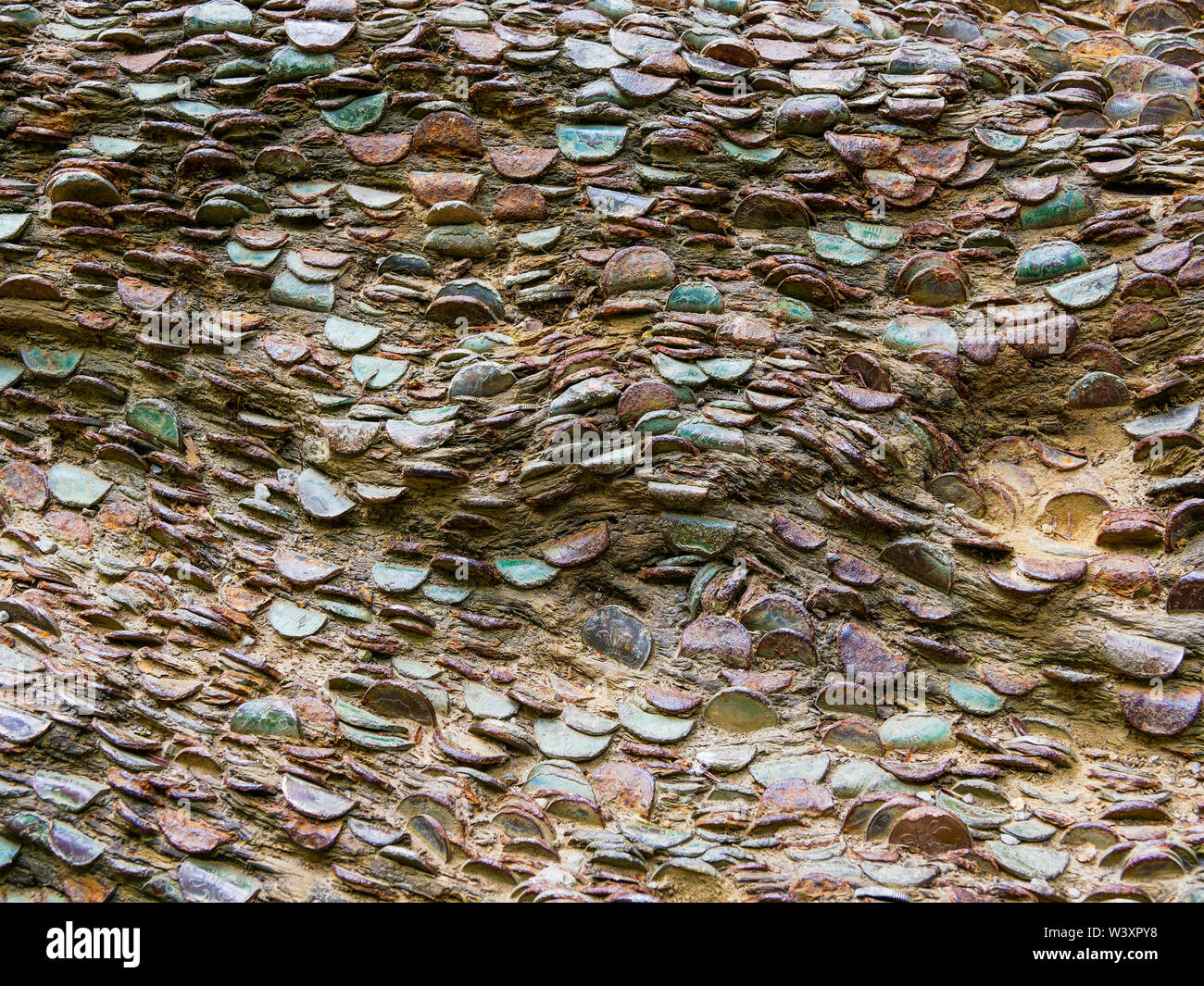 Près d'un grand nombre de pièces rouillées ternie et de toutes les confessions ont été martelés dans à une branche d'arbre sur un certain nombre d'années. Banque D'Images