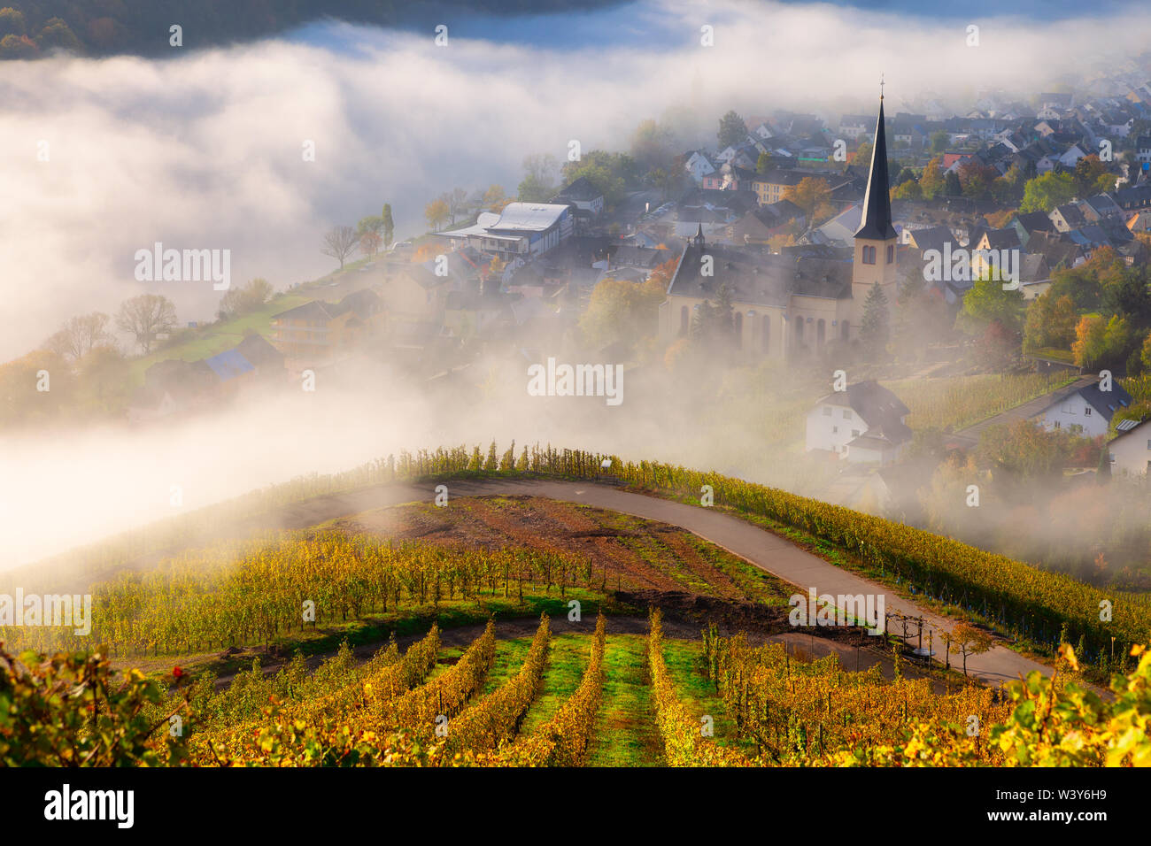 Vignes en automne dans la vallée de la Moselle avec un village et une église dans les nuages sur un beau matin d'automne à la campagne Banque D'Images