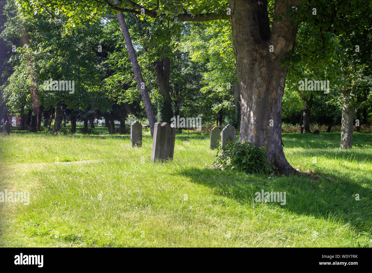 Bullys Acre cimetière sur le terrain de l'Hôpital Royal de Kilmainham, Dublin, fermée en 1832, en raison de graves problèmes de surpopulation causée par l'épidémie de choléra. Banque D'Images