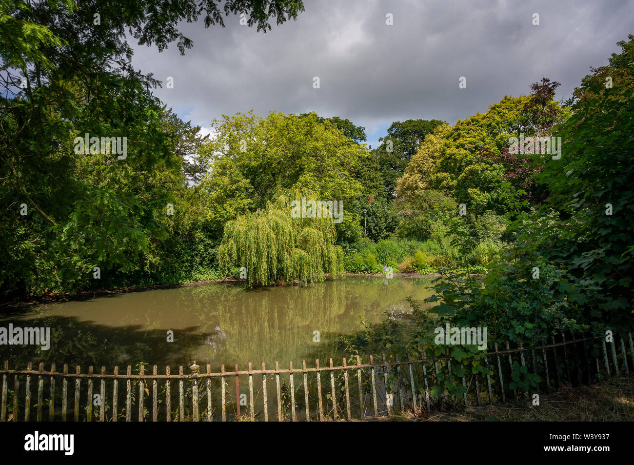 L'ancien étang à Stanmer Park près de Brighton, East Sussex, UK Banque D'Images