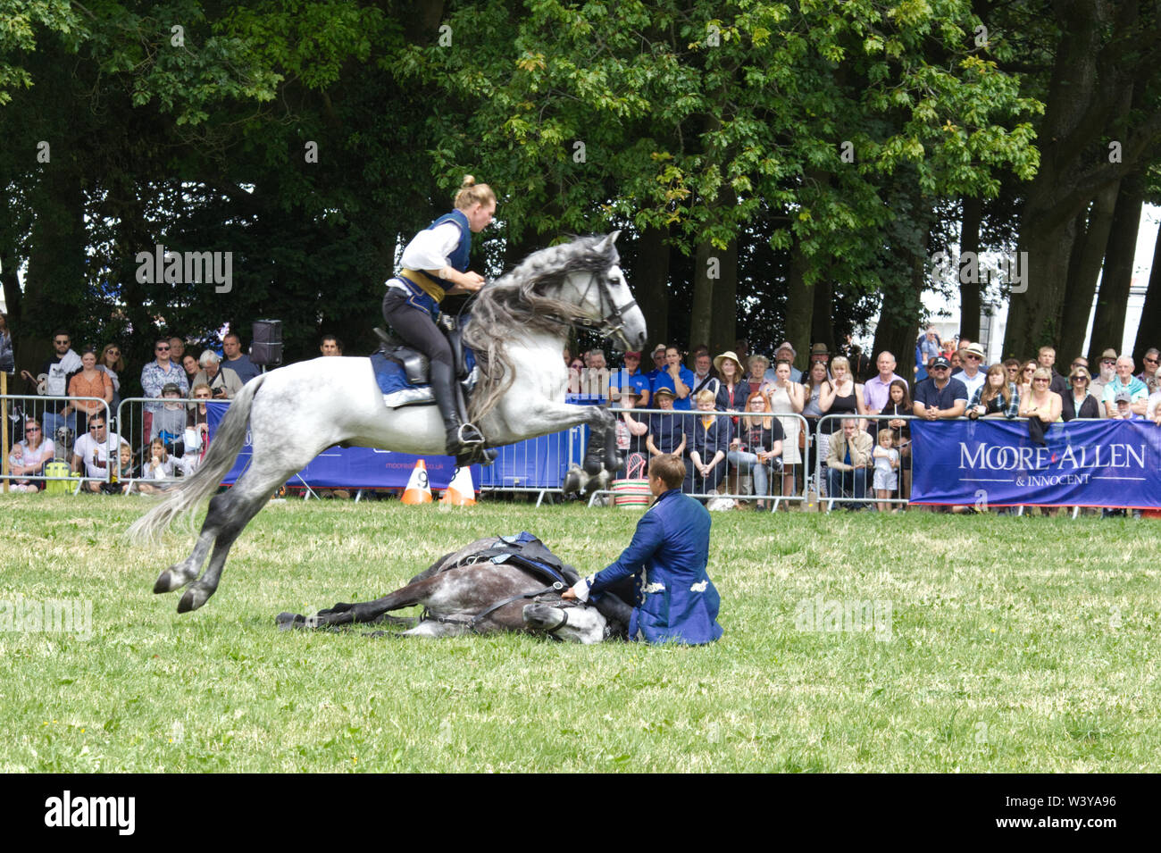 White stallion sautant par dessus le cheval et le cavalier. Banque D'Images