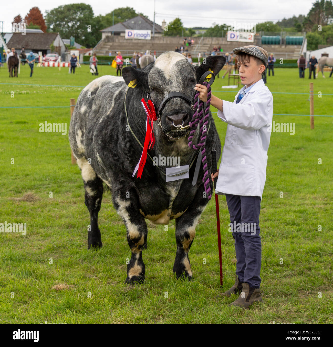 Baltimore, West Cork, Irlande, 18 juillet 2019, le soleil brillait sur l'Carbery Afficher aujourd'hui permettant à la communauté de montrer leurs animaux, monter sur leurs chevaux et profiter du plaisir du spectacle au sol. Aphperspective crédit/ Alamy Live News Banque D'Images