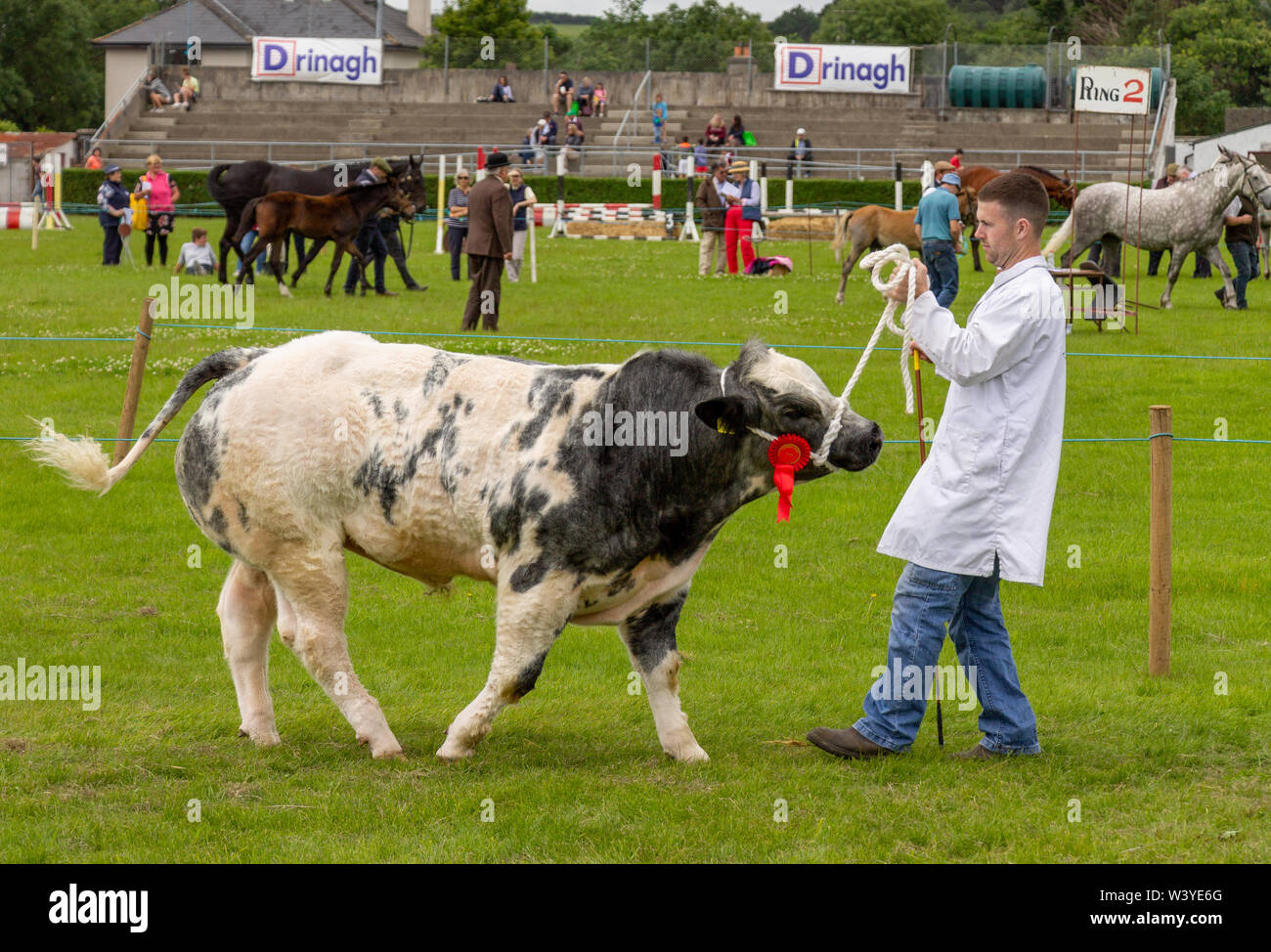 Baltimore, West Cork, Irlande, 18 juillet 2019, le soleil brillait sur l'Carbery Afficher aujourd'hui permettant à la communauté de montrer leurs animaux, monter sur leurs chevaux et profiter du plaisir du spectacle au sol. Aphperspective crédit/ Alamy Live News Banque D'Images