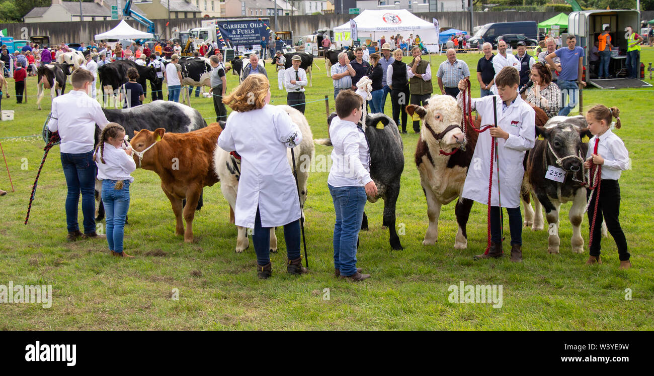 Baltimore, West Cork, Irlande, 18 juillet 2019, le soleil brillait sur l'Carbery Afficher aujourd'hui permettant à la communauté de montrer leurs animaux, monter sur leurs chevaux et profiter du plaisir du spectacle au sol. Aphperspective crédit/ Alamy Live News Banque D'Images