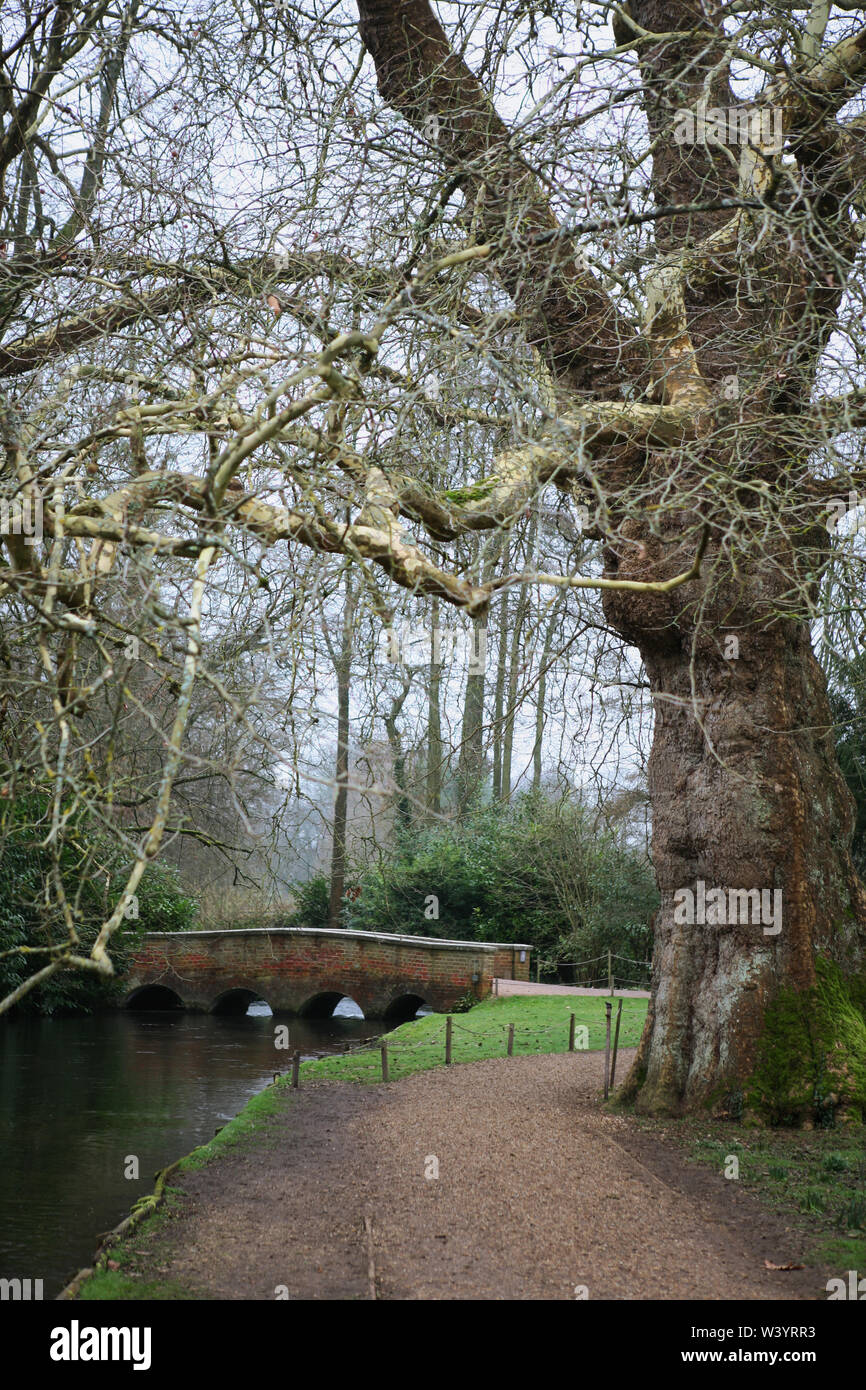 Le vieux pont sur la rivière Test dans Mottisfont Abbey Gardens, Romsey, Hampshire, Royaume-Uni Banque D'Images