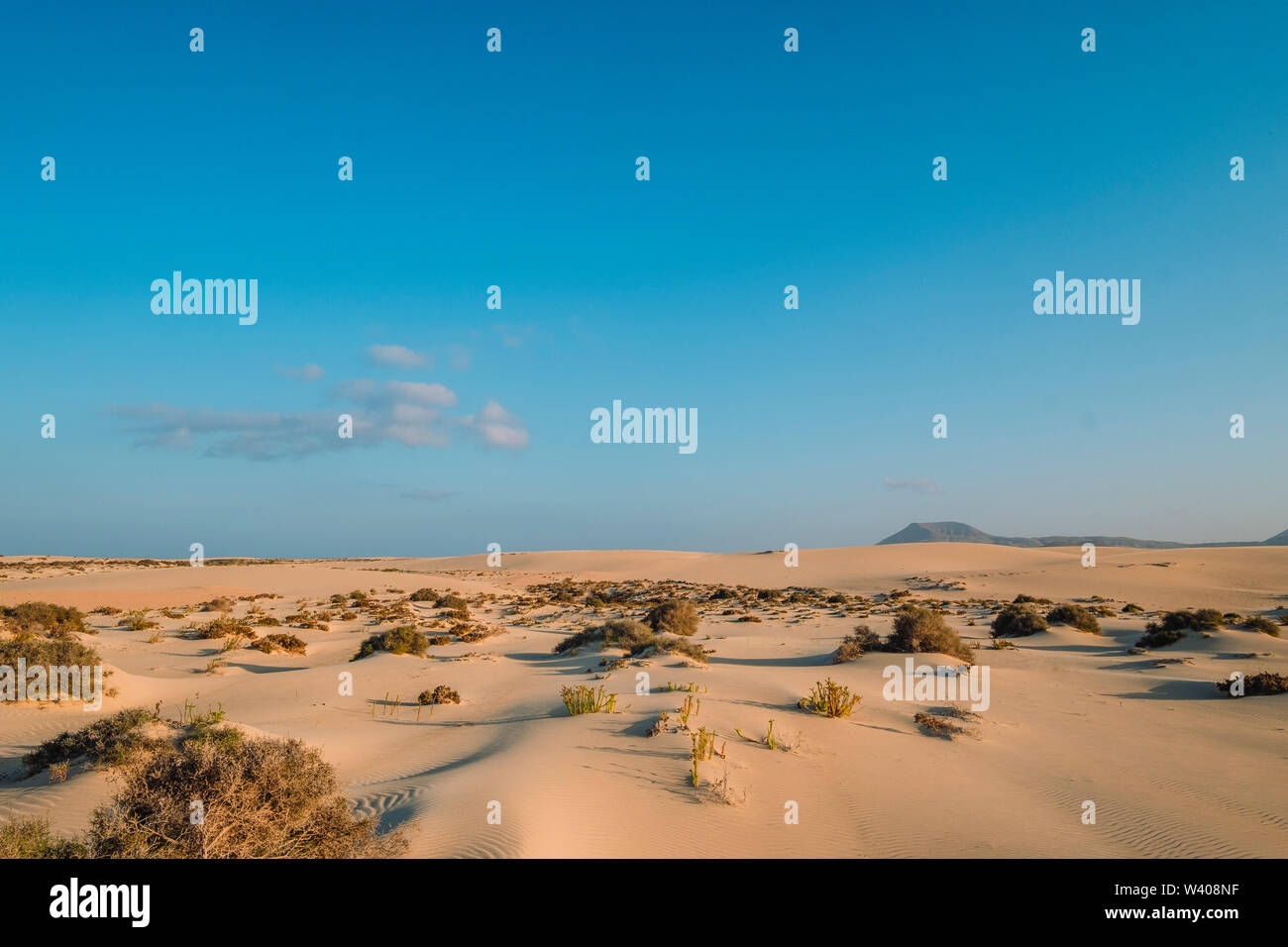 Parc Naturel des Dunes de Corralejo à Fuerteventura paysage Banque D'Images