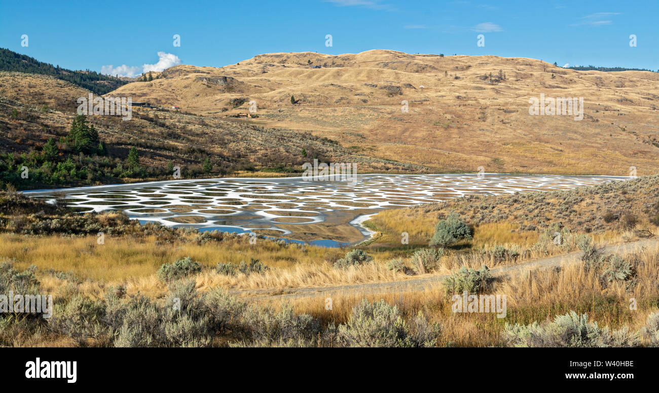 Le Canada, la Colombie-Britannique, au sud de l'Okanagan, près d'Osoyoos, lac tacheté est un médicament pour le lac Okanagan (personnes) Syilx Banque D'Images