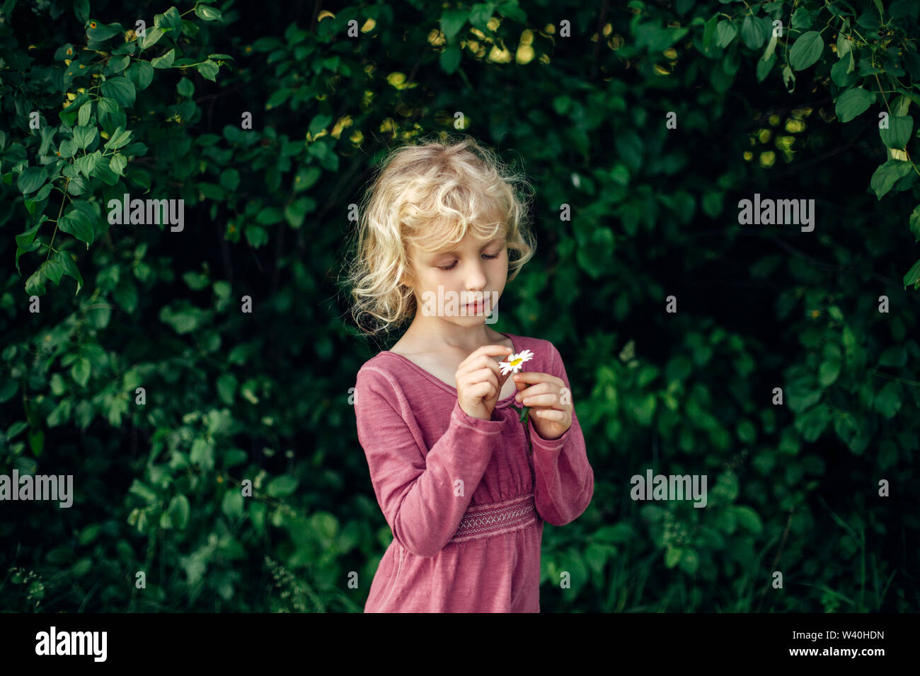 Belle blonde Cute Young Girl in red robe rose deviner fortune sur marguerite blanche fleur. Heureux l'enfant kid demande avenir sur la camomille déchirure p Banque D'Images